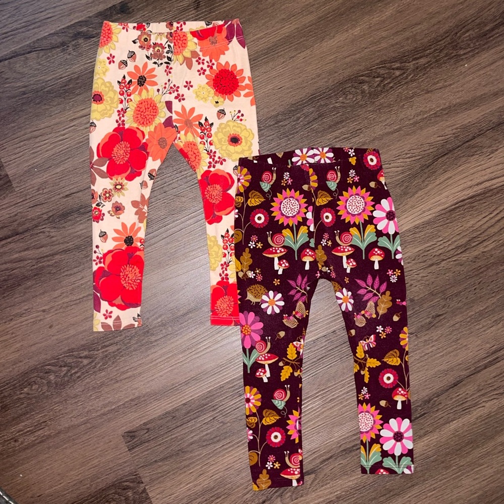 Gymboree Fall Legging Set (18-24m)
